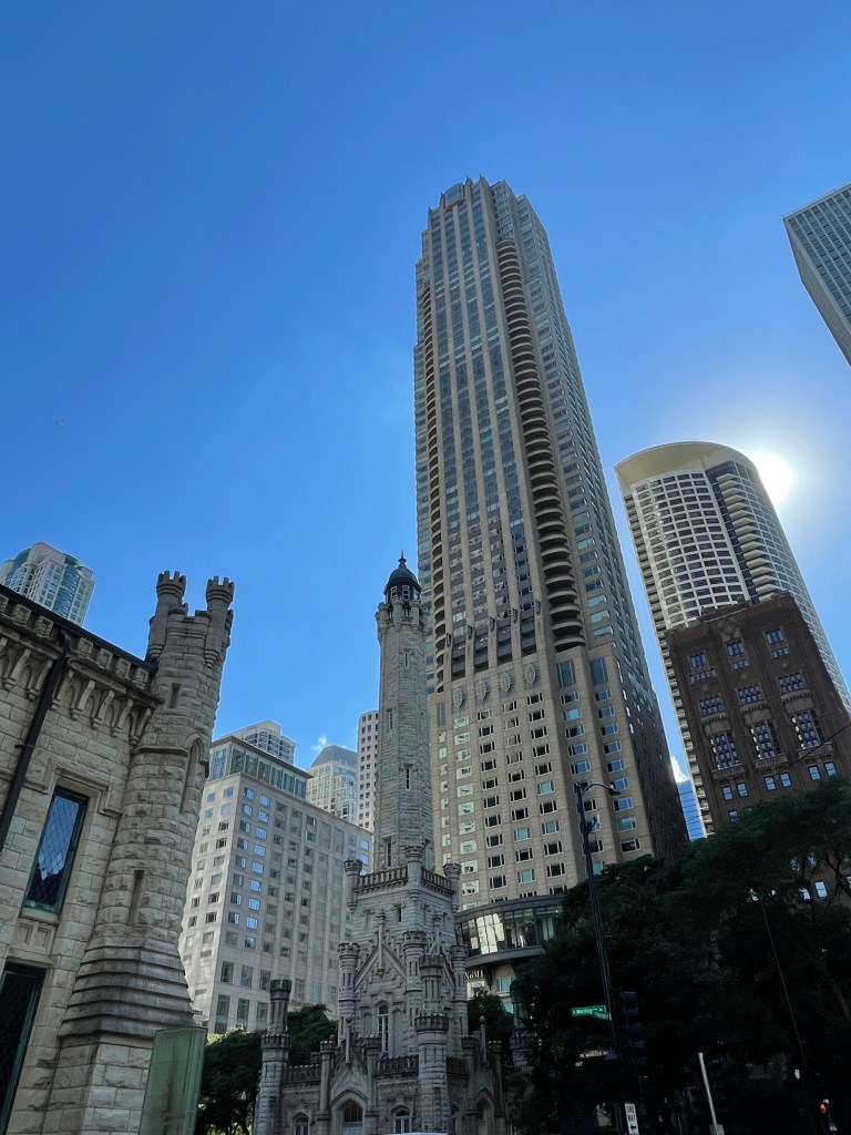 Chicago Seven - Javan Mngrezzo 